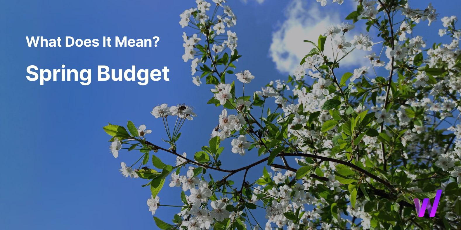 What does it mean, Spring Budget 2024, explanation with tree and flowers to represent spring.
